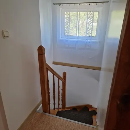 Maja * سفينويتشي